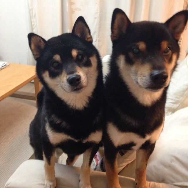 开云体育登录入口-NBA球队进攻火力提升路径，nba进攻技术