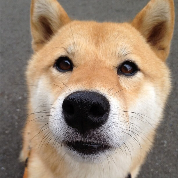 NBA球队选秀策略解析，nba选秀分析