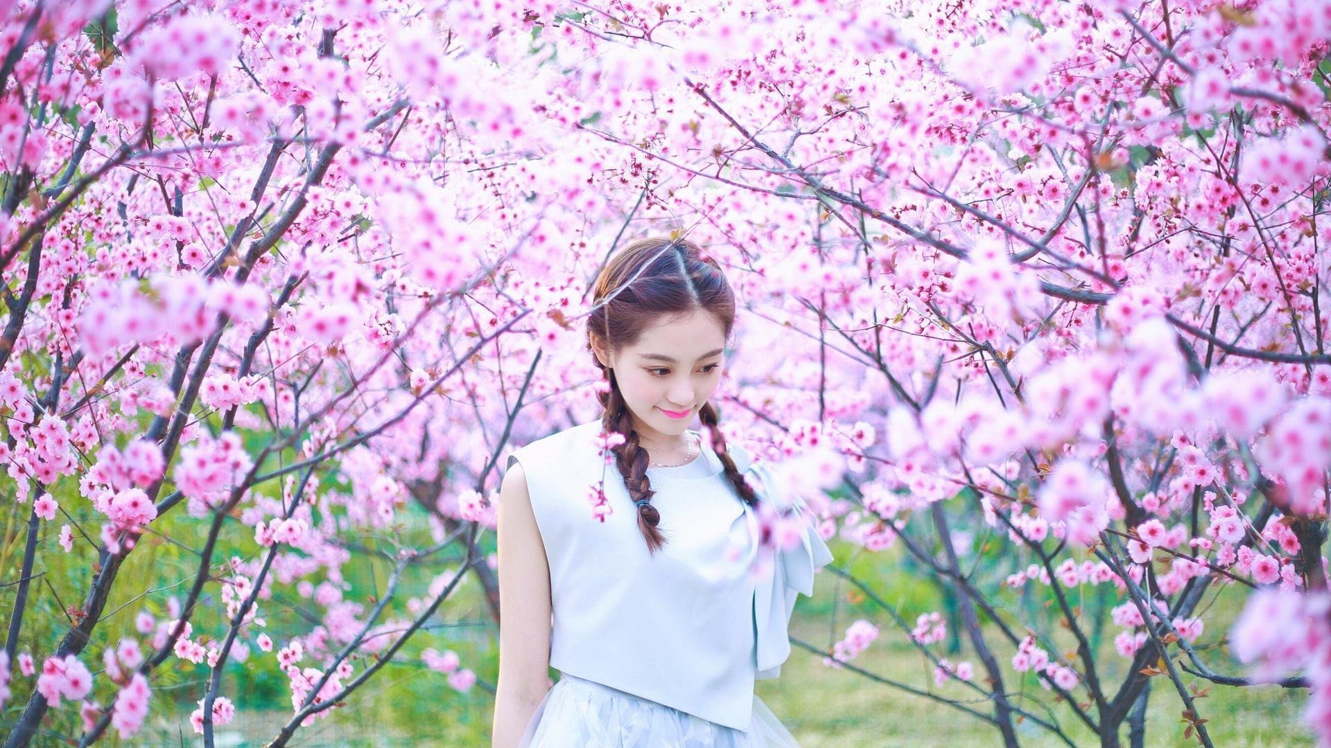 NBA球队防守体系优化研究，nba防守能力