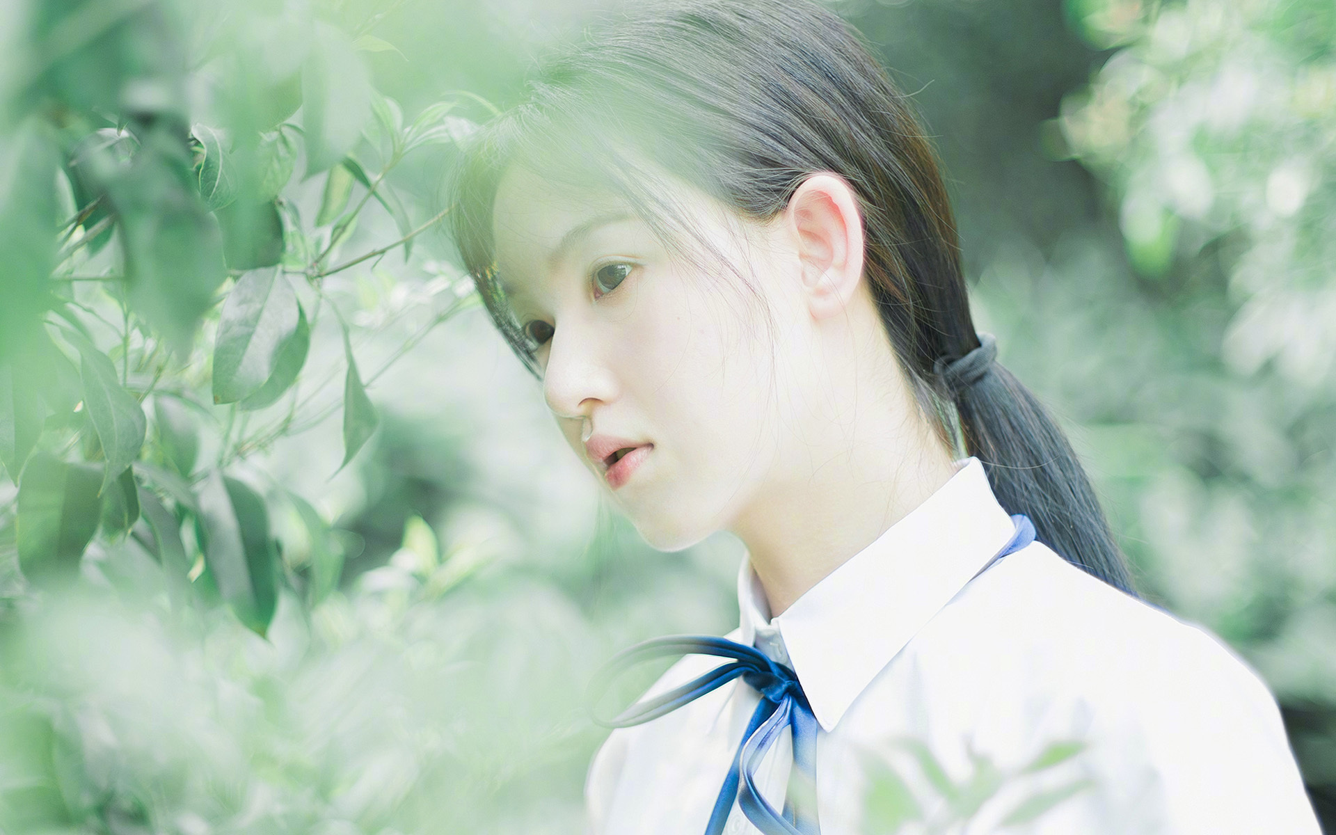 中国女篮核心球员带伤出战 展现拼搏精神,中国女篮主力队员有哪些