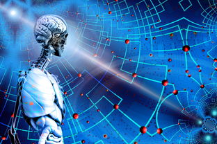 开云体育app官网-体育新闻中心上线体育赛事数据可视化展示平台，体育新闻(全程回放)