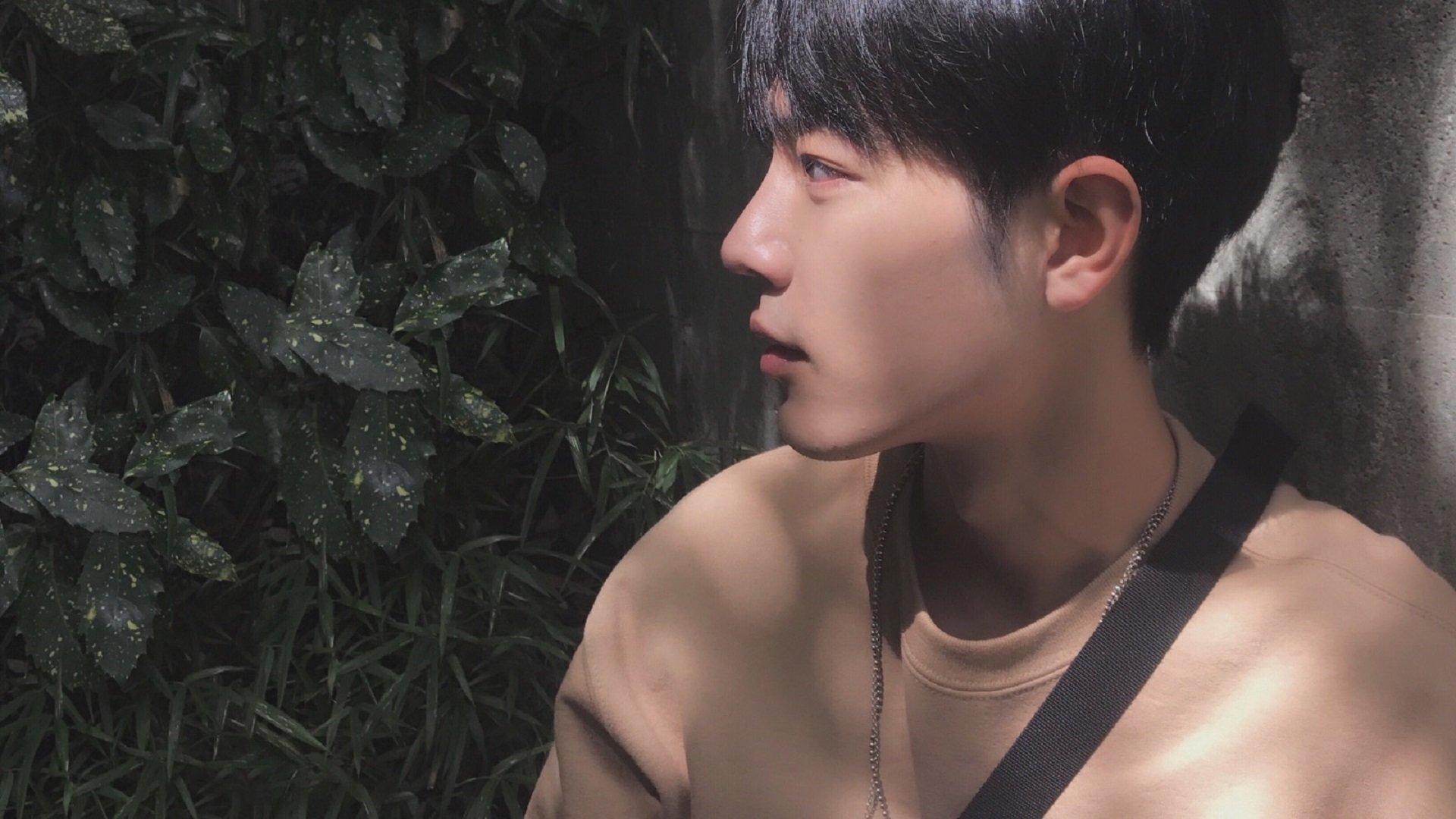 体育新闻中心开展体育传媒职业技能提升培训,体育传媒的前景