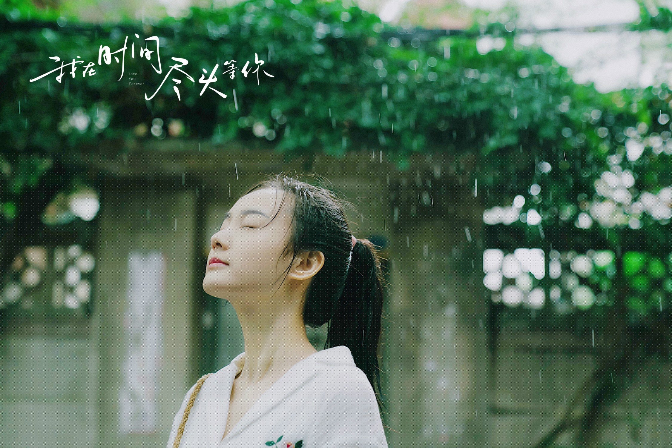 体育新闻中心构建体育新闻数据知识图谱，体育新闻 新闻