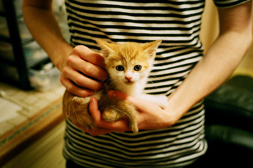 倒三角站位连接前后两端,倒三角倒立