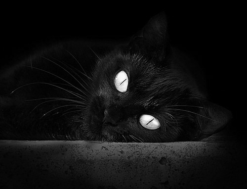 开云体育官网登入-自由搏击赛前心理干预团队构建完成，自由搏击小组