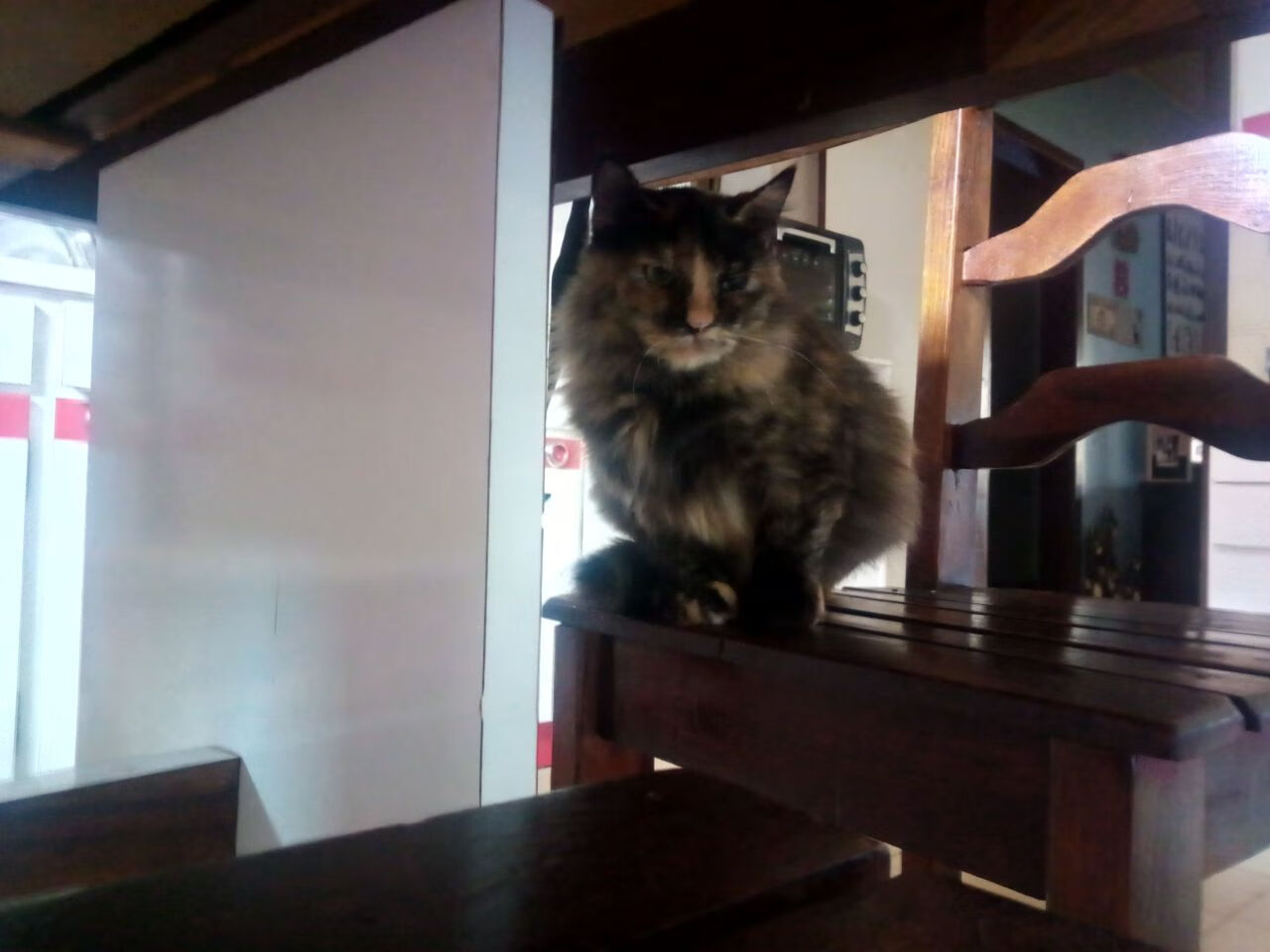 开云体育在线官网-赛制深度解读：德国队能否突破国际乒联混合团体世界杯难关，德国乒乓球赛程