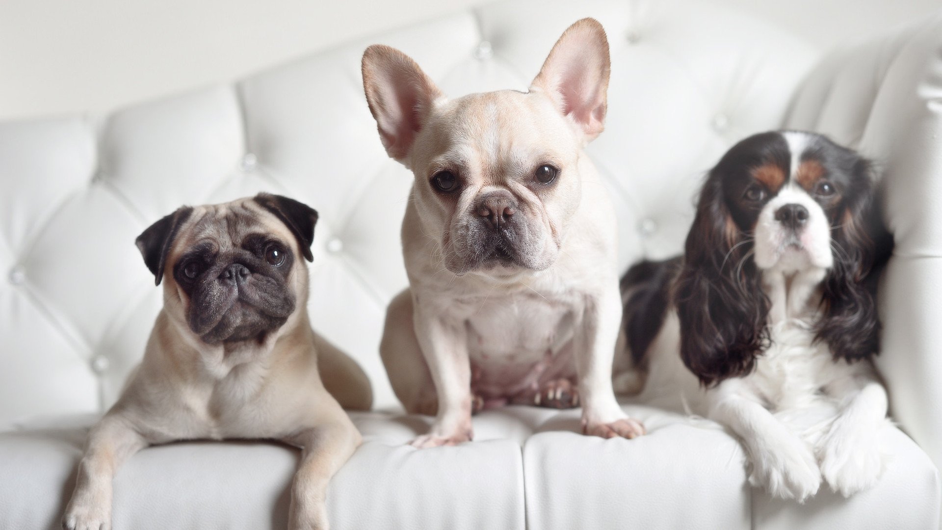 市场倾斜,女子橄榄球迎来春天,女子橄榄球比赛