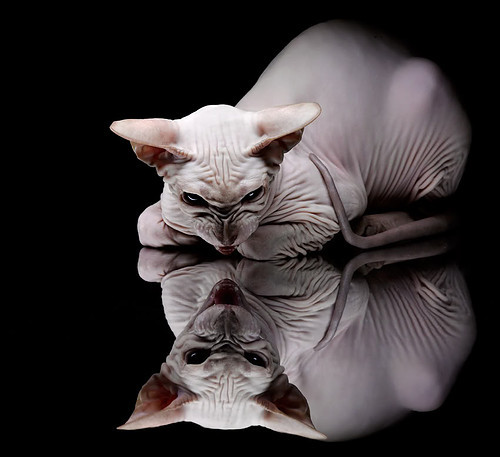 张雨霏赛后表示比赛节奏掌控更好，张雨霏比赛结果