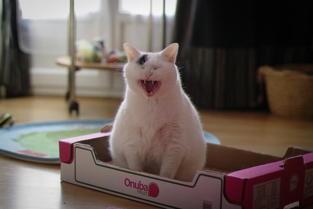 Müller 进攻和防守皆有亮点